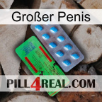 Großer Penis new03